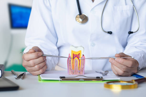 Best Root Canal Emergency Dentist  in Plantsville, CT